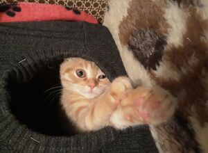 This is a nice picture