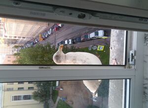 This is a nice picture