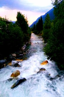 This is a nice picture