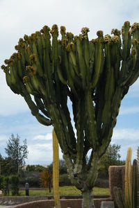 This is a nice picture