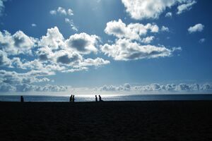 This is a nice picture