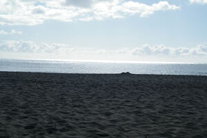 This is a nice picture