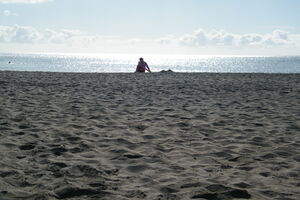 This is a nice picture