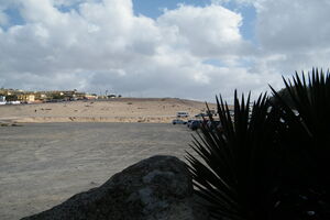 This is a nice picture