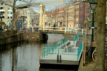 This is a nice picture