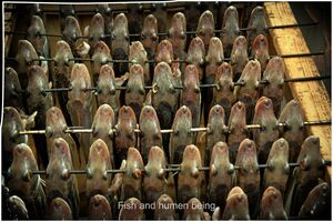 This is a nice picture