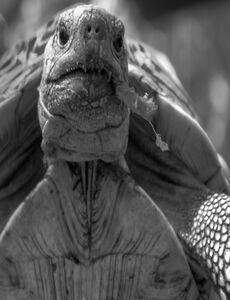 This is a nice picture