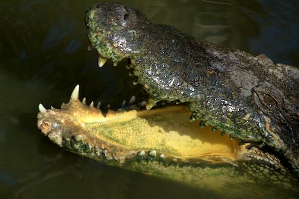 This is a nice picture