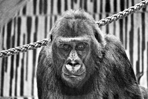 This is a nice picture