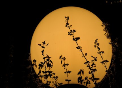 This is a nice picture