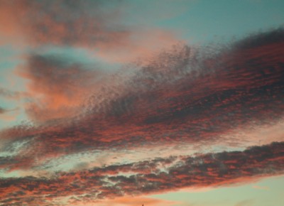 This is a nice picture